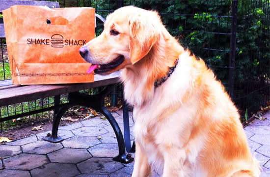 Shake Shack